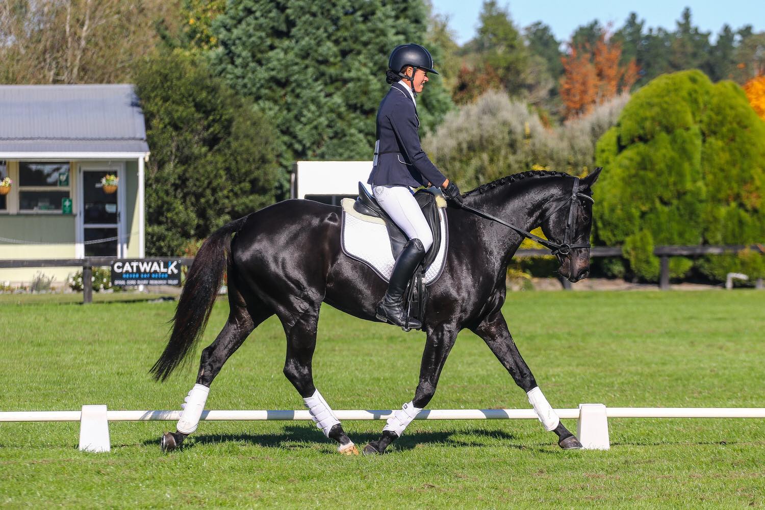 anna-poole-sponsored-rider-excel-equine