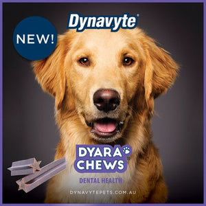 Dyara Chews (dental dog chews)