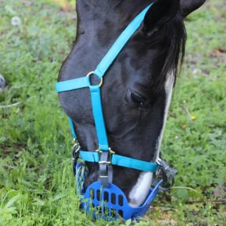 Green Guard Grazing Muzzle