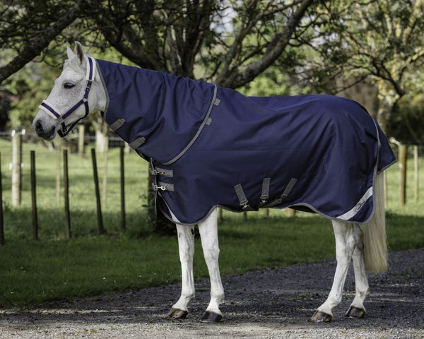 Cavallino Gen 4 Detach A Neck