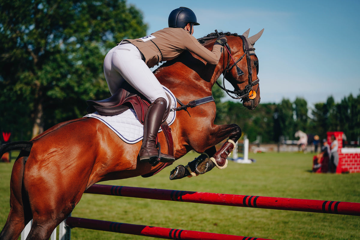 Performa Ride Excel Equine - Performa Ride NZ