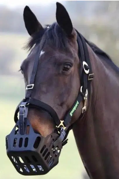 Greenguard STABILITY Halter