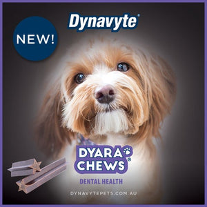 Dyara Chews (dental dog chews)