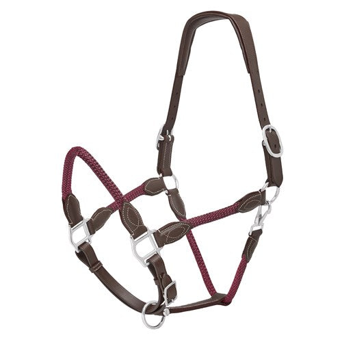 Leather Show Halter with Matching Lead, Chestnut