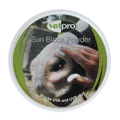 Sun Block Powder - excelequine