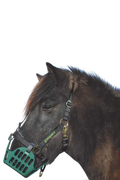 Greenguard STABILITY Halter